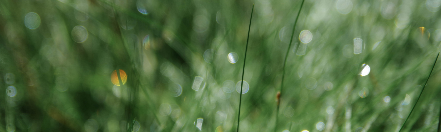 Unavngivet (2000 x 800 px) (5).png__PID:08e9c3e6-0e27-4773-a876-e71721ad9498